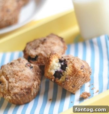 45 Smart & Simple School Lunch Ideas 8 Back to School Lunchbox Ideas: Muffins