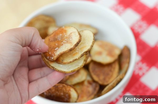 Freshly baked potato chips displayed in a rustic bowl, ready for dipping