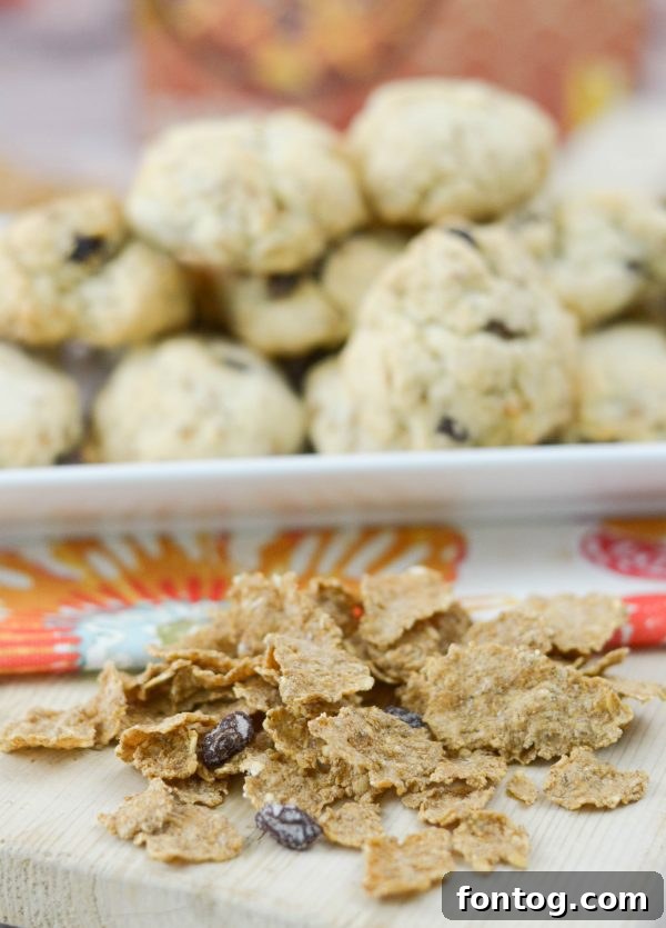 Two Raisin Bran Oatmeal Cookies on a baking rack