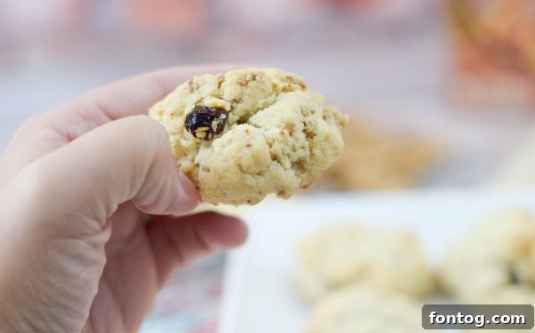 Platter of Raisin Bran Oatmeal Cookies ready to serve
