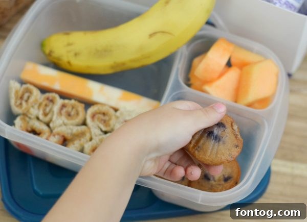 Easy PB&J Roll-Ups: Smart Back-to-School Lunch Ideas 6 PB & J Roll Ups & Back to School Lunch Ideas