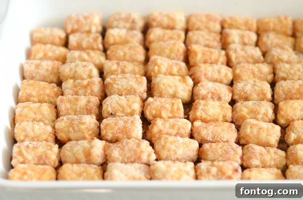 Bag of gluten-free tater tots ready for the casserole