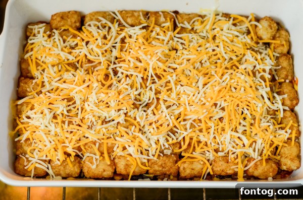 Tater tots arranged on top of the taco meat mixture in a baking dish