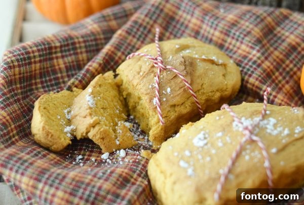 Warm Apple Pumpkin Bread Slice