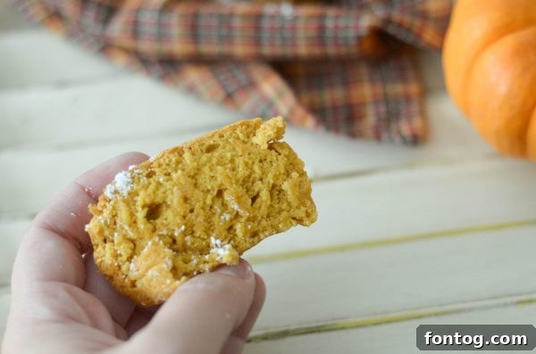 Apple Pumpkin Bread for Gifting