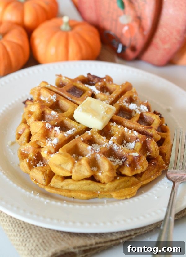 Spiced Pumpkin Chocolate Chip Waffles 2 Golden Pumpkin Chocolate Chip Waffles on a plate, ready to be served for a cozy fall breakfast.