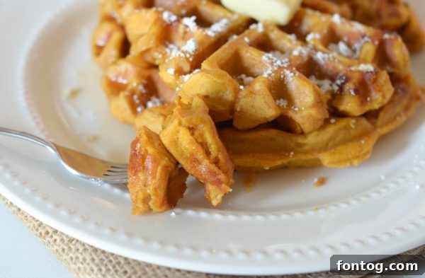 Spiced Pumpkin Chocolate Chip Waffles 4 Freshly baked Pumpkin Chocolate Chip Waffles with a rustic fall background.
