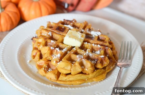 Spiced Pumpkin Chocolate Chip Waffles 5 Gluten-Free Pumpkin Chocolate Chip Waffles with a sprinkle of powdered sugar.