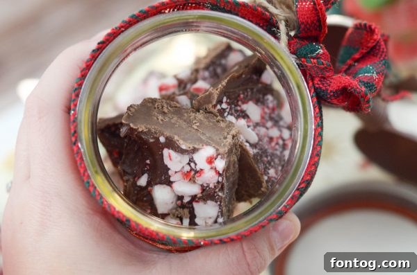 Handcrafted Jar Delights 4 Layers of holiday candies and fudge inside a decorated Mason Jar