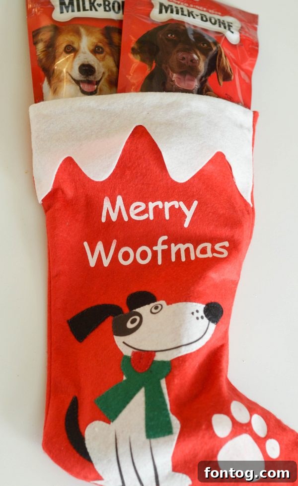 A dog eagerly looking at an overflowing Christmas stocking filled with treats and toys