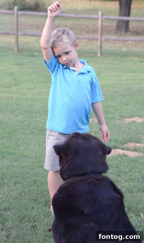 A vibrant display of Milk-Bone, Pup-Peroni, and Canine Carry Outs dog treats, perfect for a holiday stocking