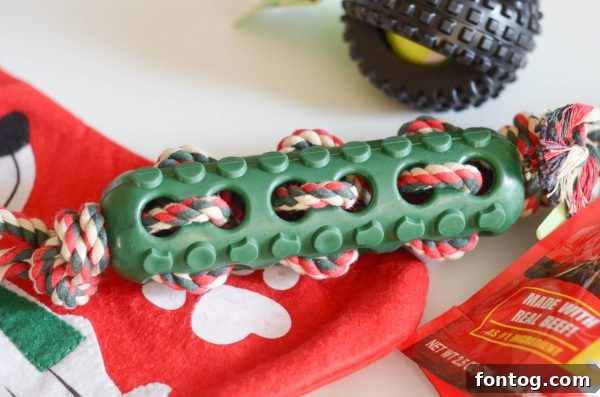 A large, fluffy dog with attentive eyes eagerly watching for a treat