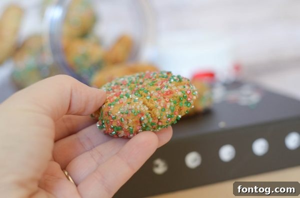 A collection of Spiced Molasses Drops, emphasizing their festive appeal for Christmas. #MySouthernHoliday #ad