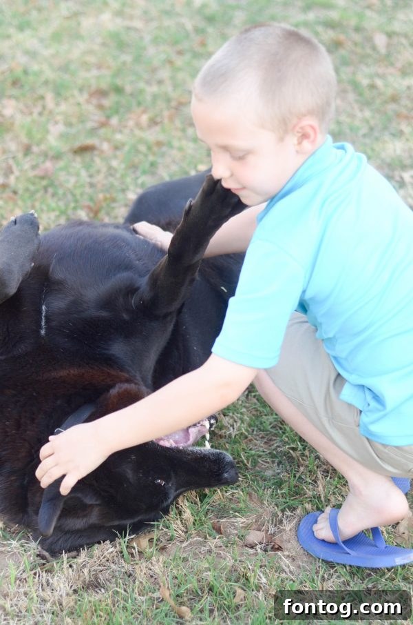 Happy dog playing with family after eating Luvsome