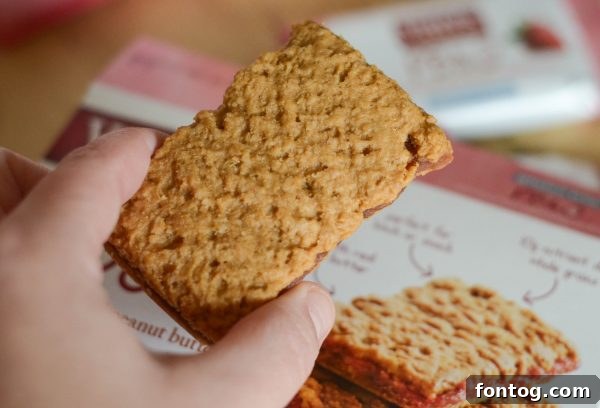 Healthy snack with Van's Strawberry & Peanut Butter Bars, Greek yogurt, blueberries, and oats
