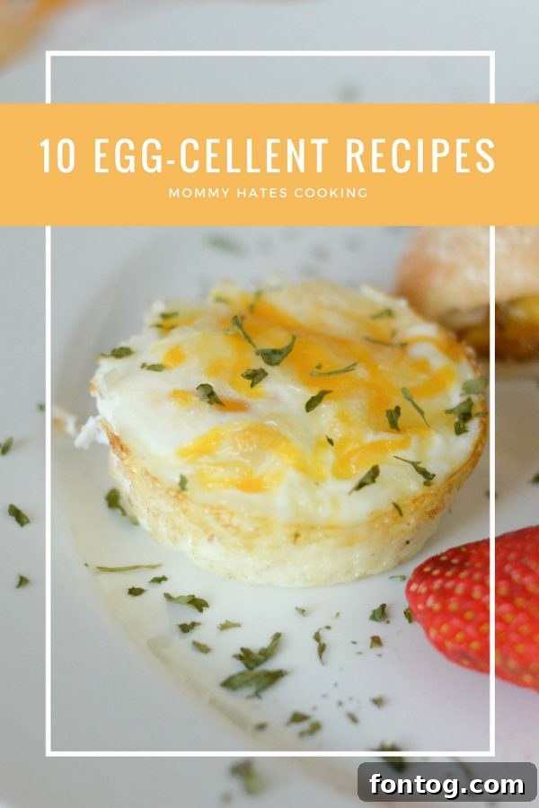 A vibrant display of 10 different egg dishes arranged appealingly, showcasing variety and deliciousness.