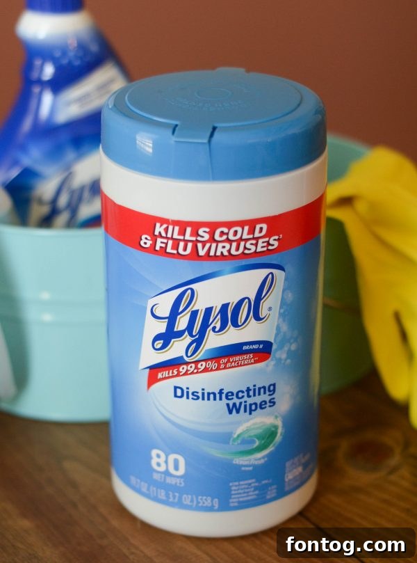Detail of Lysol products for comprehensive cleaning, including wipes and toilet bowl cleaner.