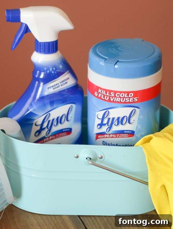 Lysol disinfectant spray and wipes, essential for a germ-free home.