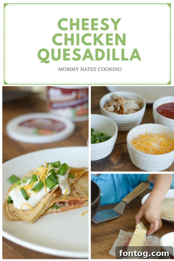 French Onion Chicken Melt Quesadillas 2 Delightful French Onion Cheesy Chicken Quesadillas – perfect for family meal planning