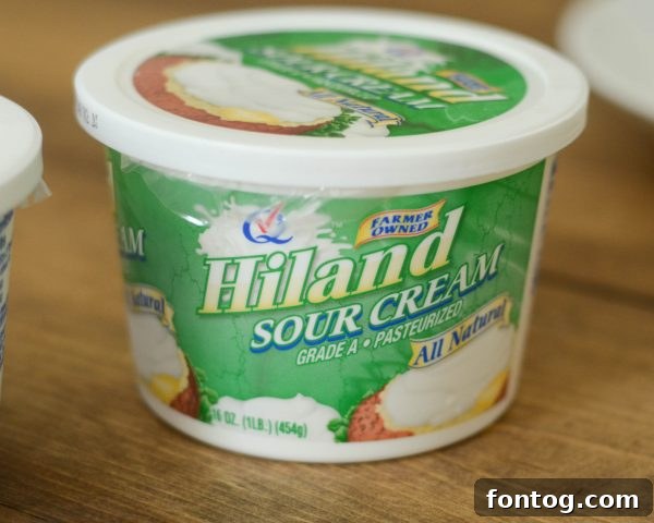 French Onion Chicken Melt Quesadillas 6 Ingredients for amazing French Onion Cheesy Chicken Quesadillas