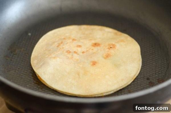 French Onion Chicken Melt Quesadillas 9 Perfectly cooked French Onion Cheesy Chicken Quesadillas with dipping sauces