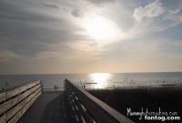 Sunkissed Florida Shores