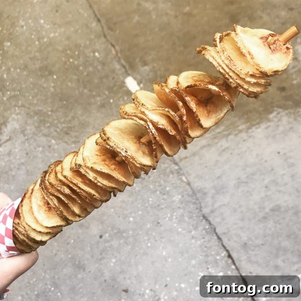 Things to do at Silver Dollar City: Earth Harp Collective