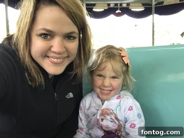 Things to do at Silver Dollar City: Giant Barn Swing