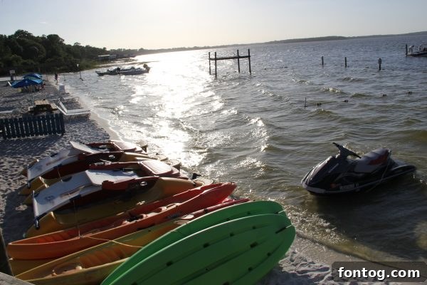 Eaton's Beach on a sunny day in Ocala, Florida, perfect for water activities.