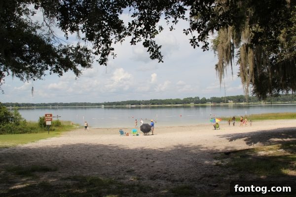 Carney Island on Lake Weir, Ocala, Florida, showcasing natural beauty.
