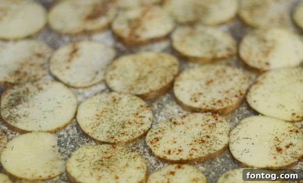 Golden-brown baked potato chips seasoned with garlic and chili