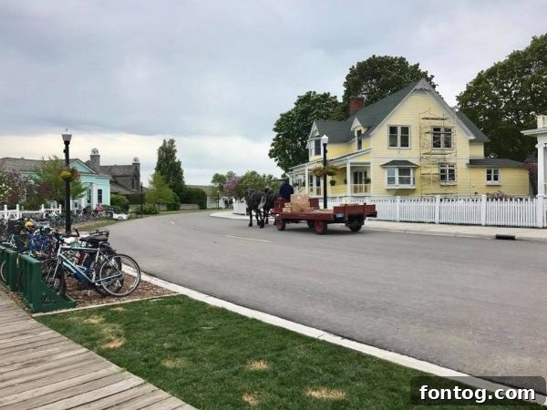 Places to Visit in Northern Michigan