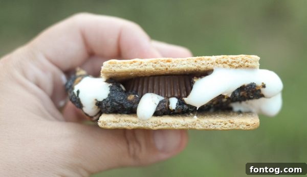 Peanut Butter Cup S'mores