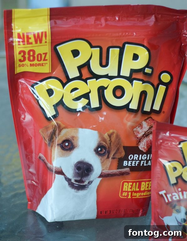 Puppy Playtime: Fun & Engaging Activities for Your Pup 5 Puppy Playtime - Ways to Keep them Engaged