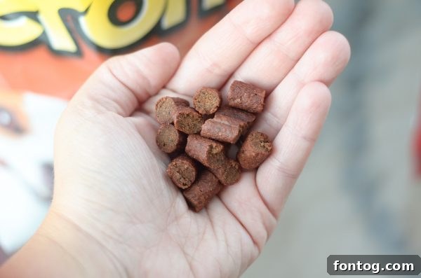 Puppy Playtime: Fun & Engaging Activities for Your Pup 9 Puppy Playtime - Ways to Keep them Engaged