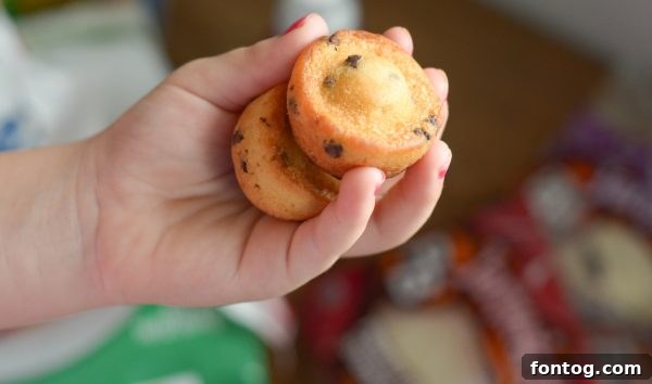 The Perfect Back to School Lunch Items