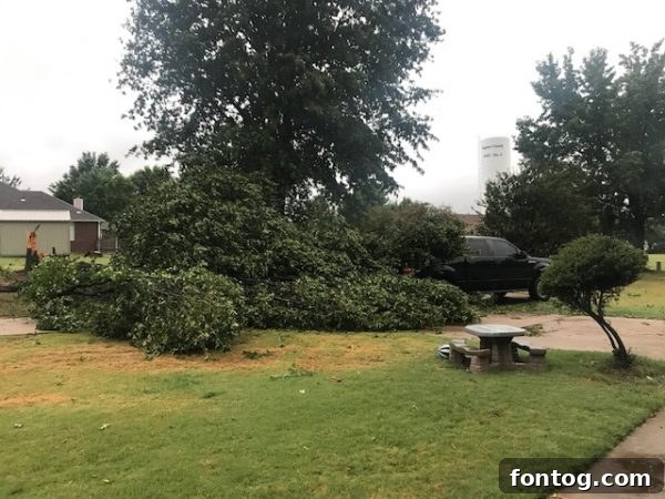 Husband with improved mobility thanks to GOPO