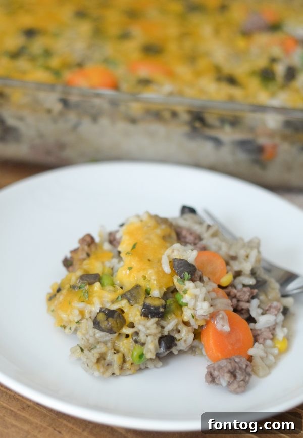 Hearty Beef and Rice Bake 4 Scoop of hearty Beef & Rice Casserole showcasing its creamy texture and rich ingredients.