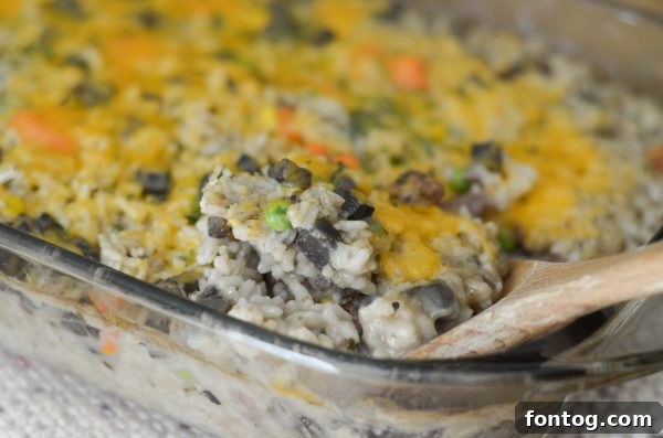 Hearty Beef and Rice Bake 6 Close-up of finished Beef & Rice Casserole with perfectly melted, golden-brown cheese.