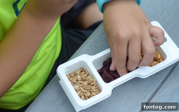 Fueling Up for Outdoor Adventures 7 Staying Fueled & Active for Outdoor Play
