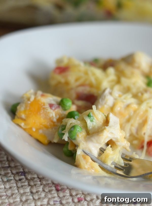 Low Carb Chicken Spaghetti Bake Recipe