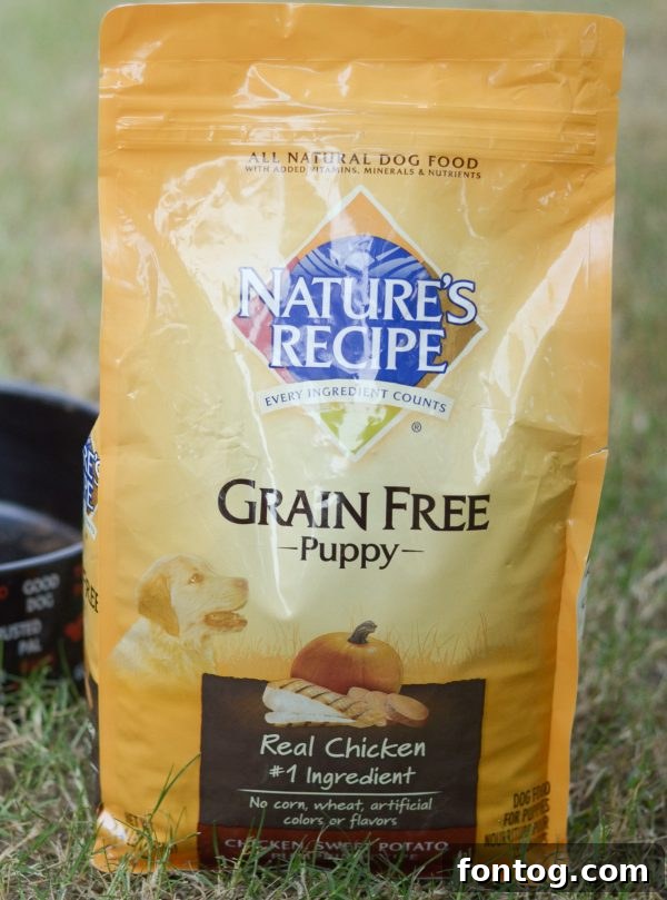 Dog eating Nature's Recipe food from a bowl