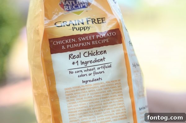 A dog in an agility tunnel, demonstrating active play