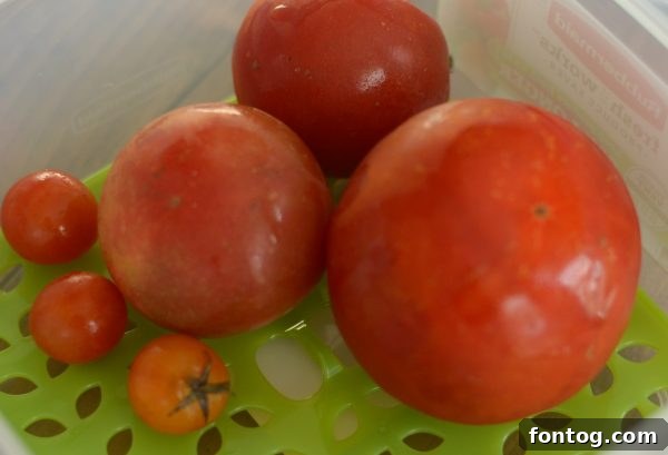 Close-up of fresh grapes and other fruits stored in a Rubbermaid FreshWorks container, demonstrating the clear design.