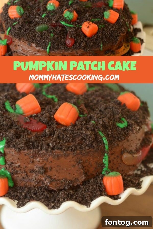 Overhead shot of a Pumpkin Patch Cake displaying all its festive toppings.