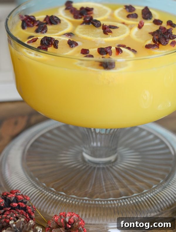 Cranberry Orange Punch garnished with fresh cranberries and orange slices.