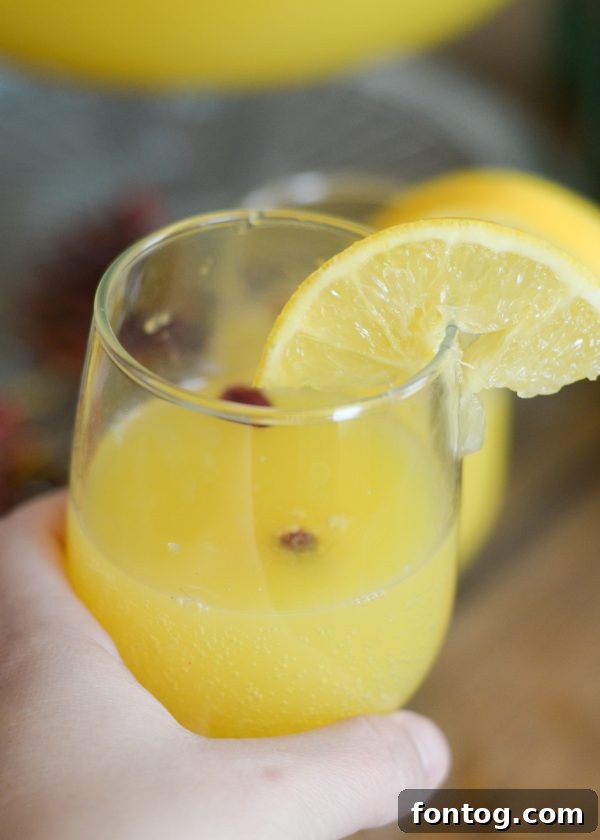 Ingredients for Cranberry Orange Punch laid out on a kitchen counter.