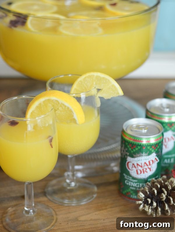 A bowl of Cranberry Orange Punch with a ladle, surrounded by festive decorations.