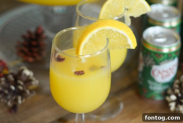 A close-up of the delicious Cranberry Orange Punch being served.