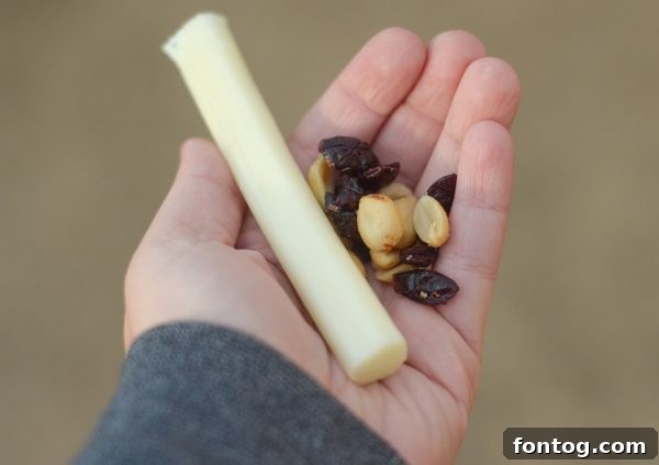Nourishing Nibbles for a Fresh New Year 3 Healthy Snack Choices Including Fruit and Weight Watchers Cheese